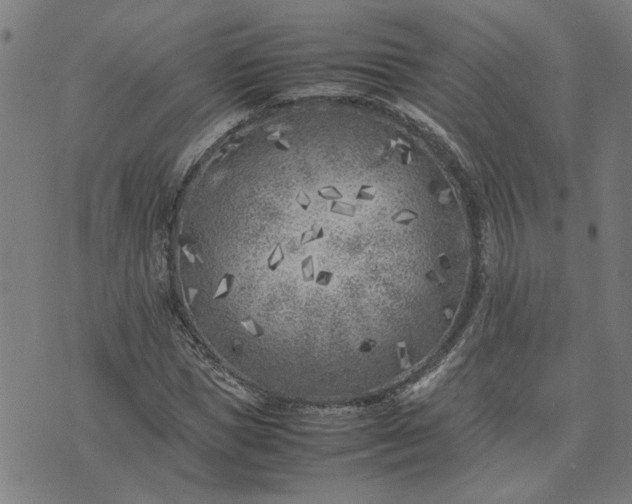 X0000074230921200609081617