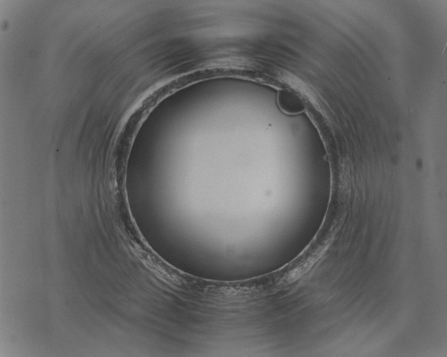 X0000074230923200609081617