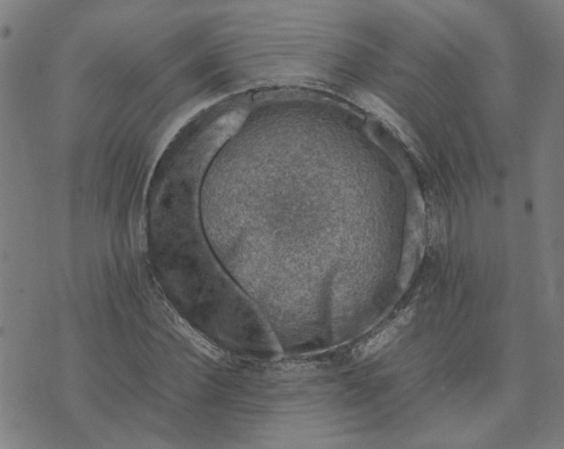 X0000074230924200609081617