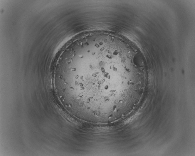 X0000074230925200609081617