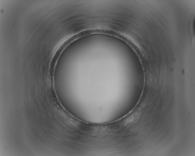 X0000074230927200609081617