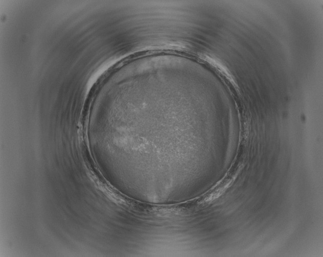 X0000074230928200609081617