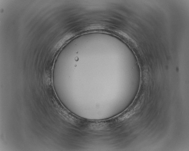 X0000074230929200609081617