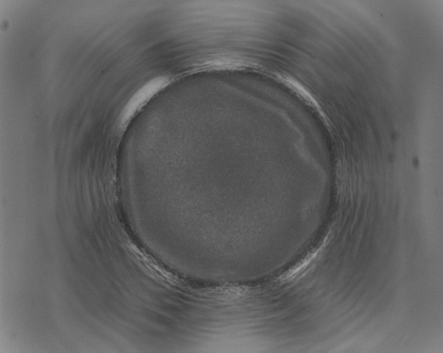 X0000074230930200609081617