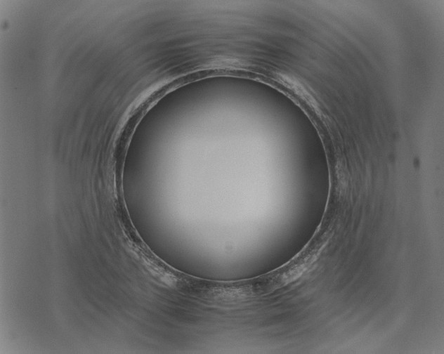 X0000074230931200609081617