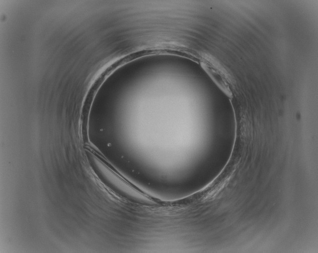 X0000074230932200609081617