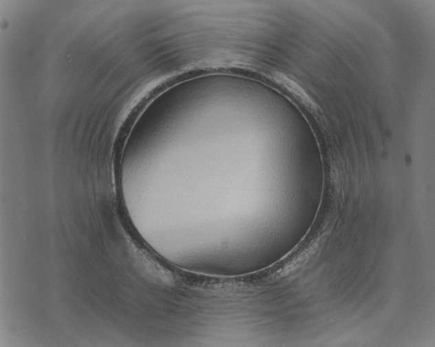 X0000074230934200609081617