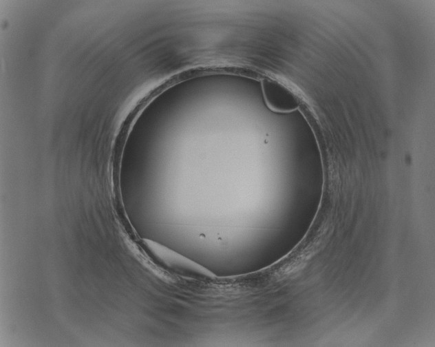 X0000074230935200609081617