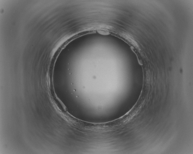 X0000074230936200609081617