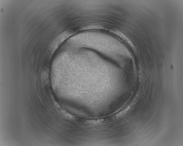 X0000074230937200609081617