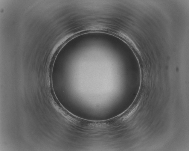 X0000074230939200609081617