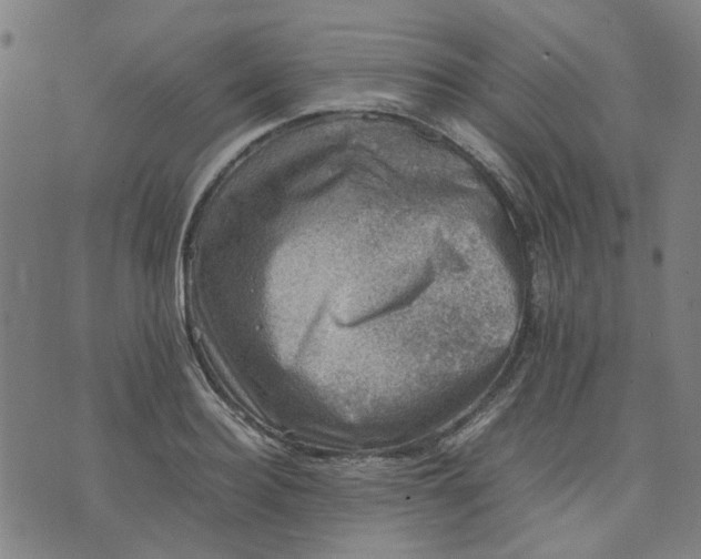 X0000074230940200609081617