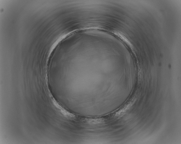 X0000074230941200609081617