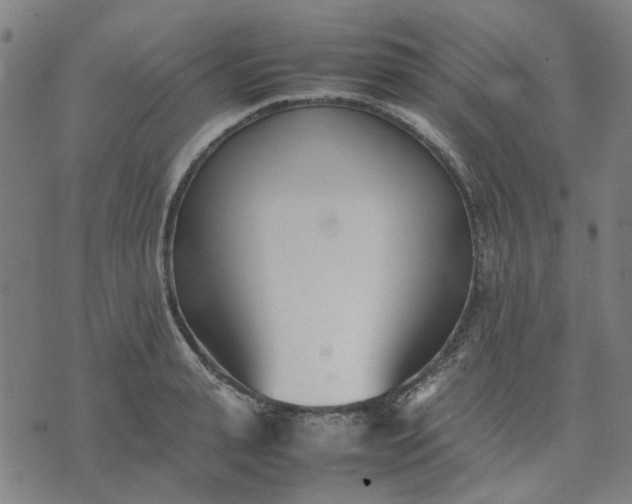 X0000074230943200609081617