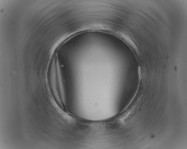 X0000074230944200609081617