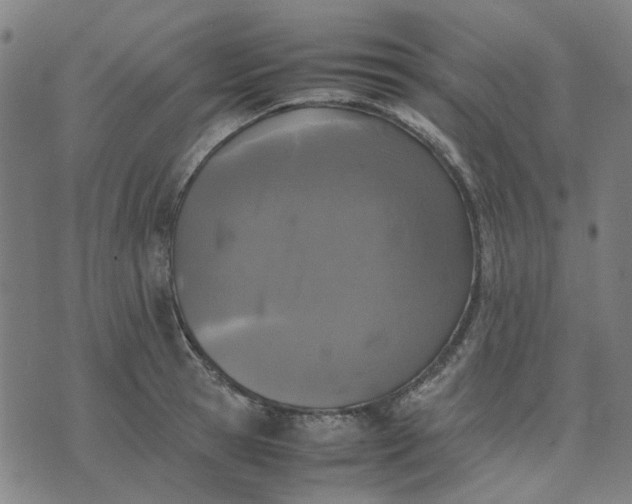 X0000074230945200609081617