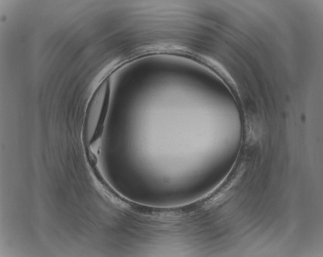 X0000074230946200609081617