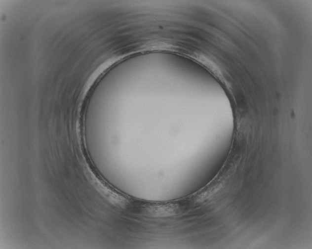 X0000074230947200609081617