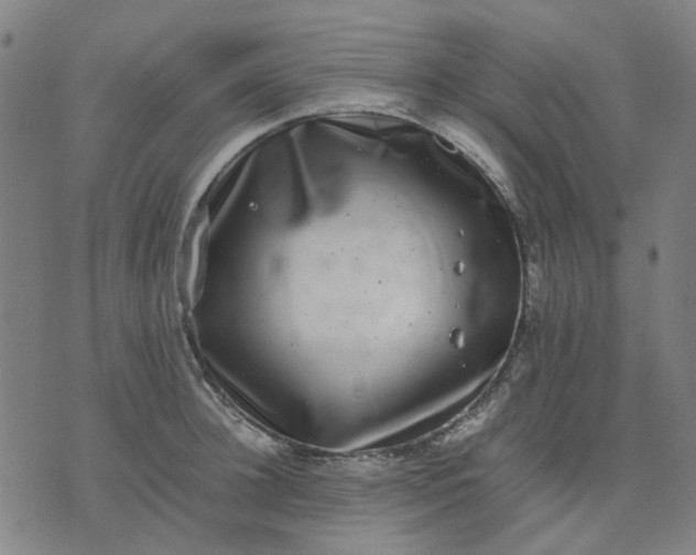 X0000074230948200609081617