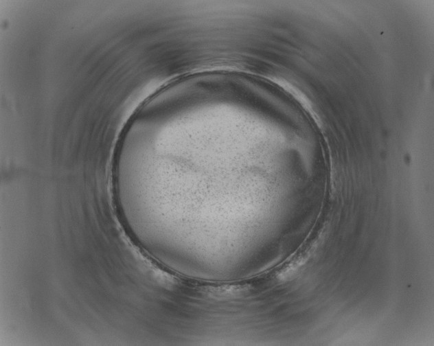 X0000074230949200609081617