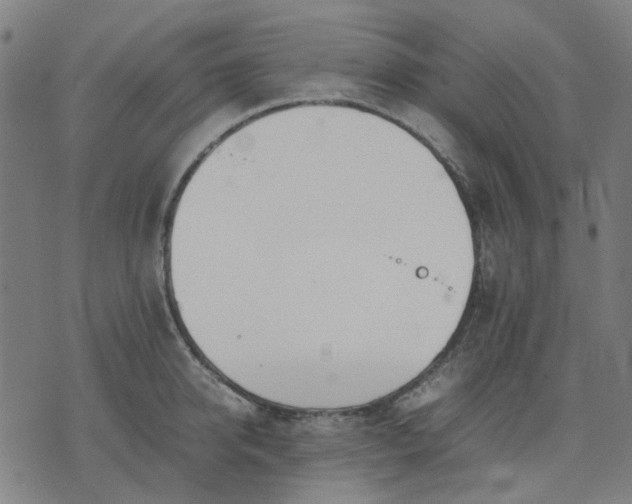 X0000074230950200609081617