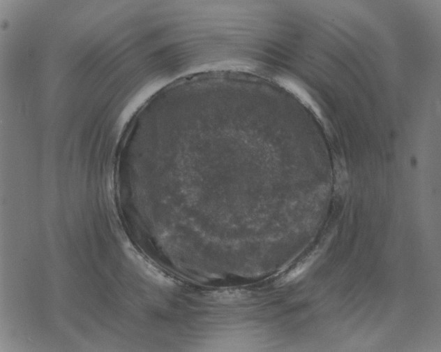 X0000074230952200609081617