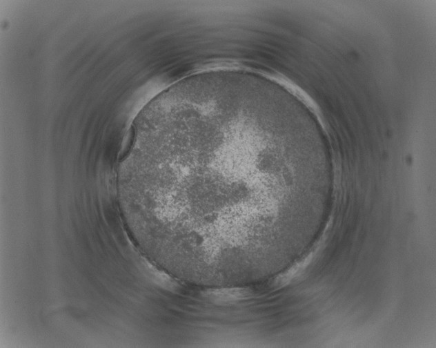 X0000074230953200609081617