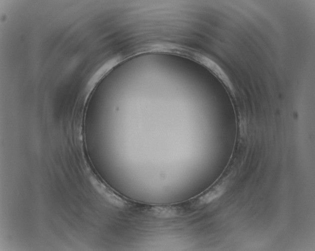 X0000074230954200609081617