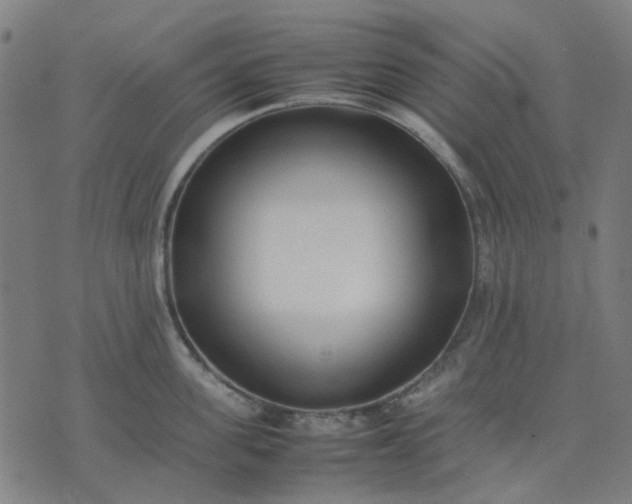 X0000074230955200609081617