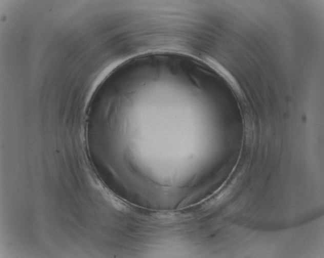 X0000074230956200609081618