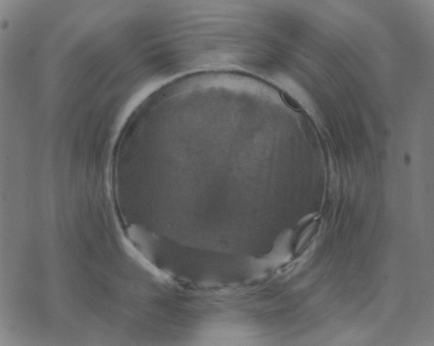 X0000074230958200609081618