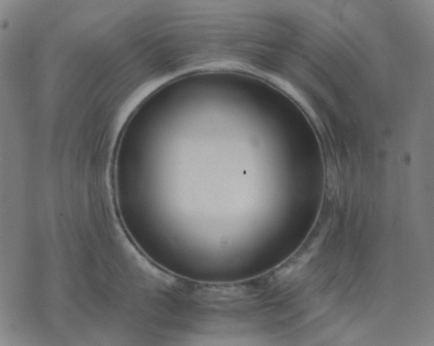 X0000074230959200609081618