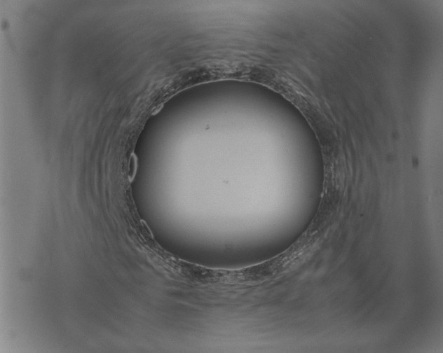 X0000074230961200609081617