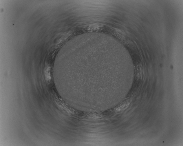 X0000074230962200609081617