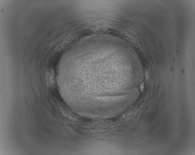 X0000074230963200609081617