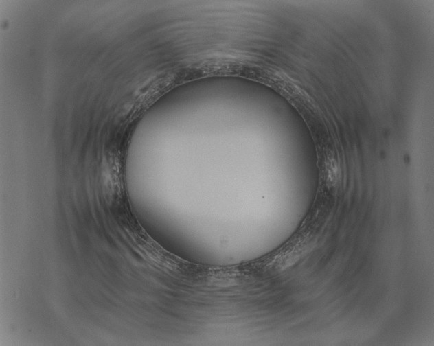 X0000074230964200609081617