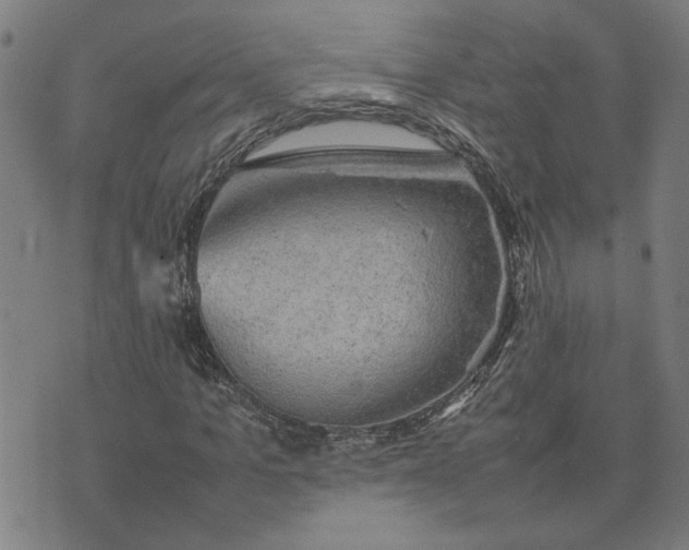 X0000074230965200609081617