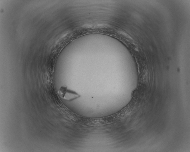 X0000074230966200609081617