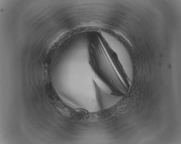 X0000074230968200609081617