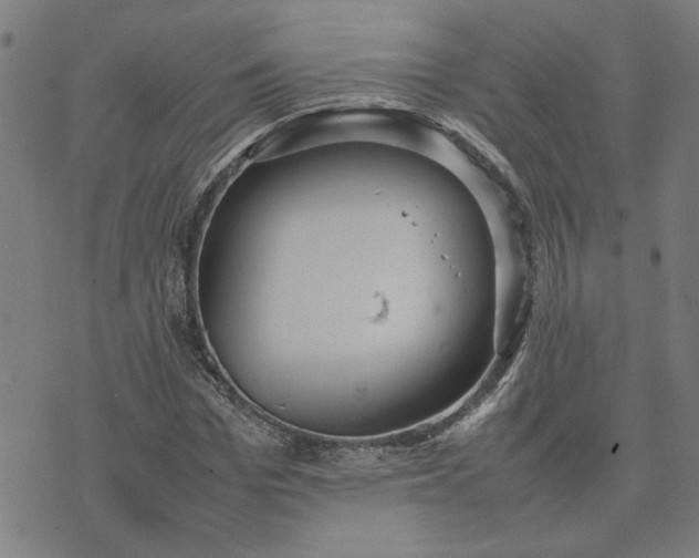 X0000074230969200609081617