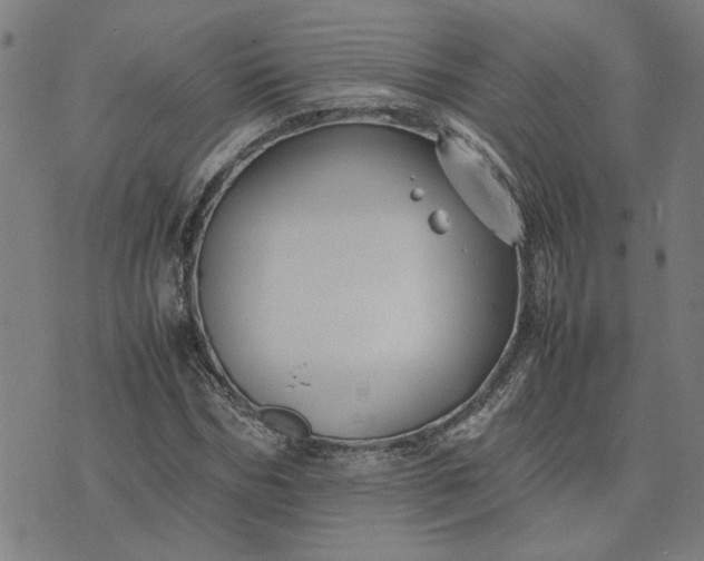 X0000074230970200609081617