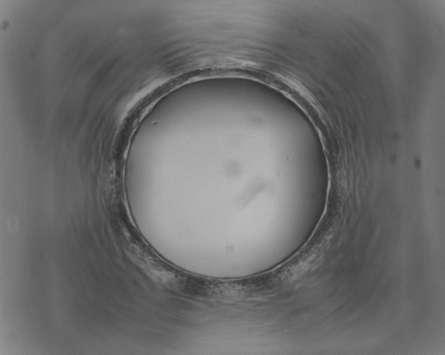 X0000074230971200609081617