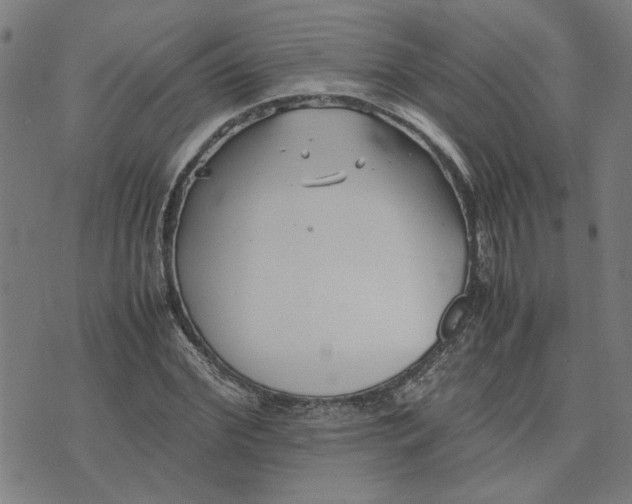 X0000074230972200609081617