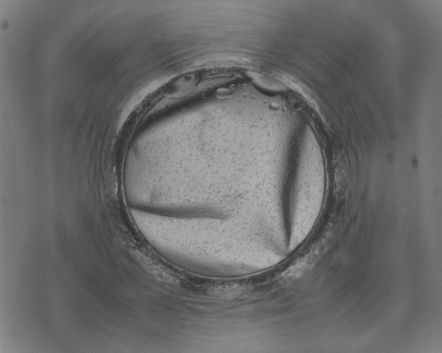 X0000074230973200609081617