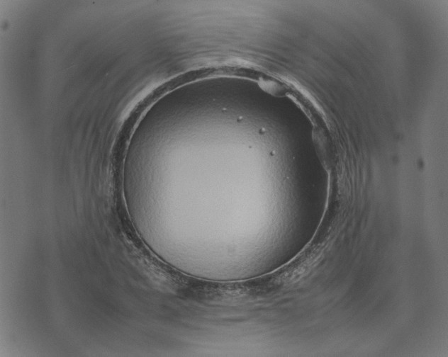 X0000074230975200609081617