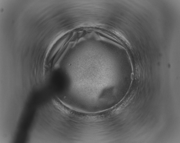 X0000074230976200609081617