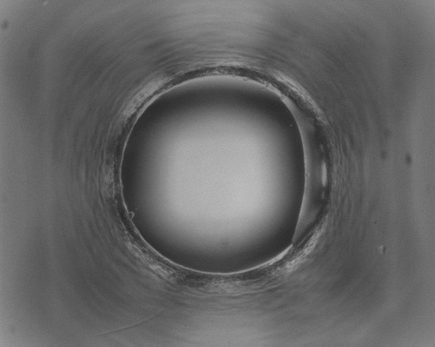 X0000074230977200609081617