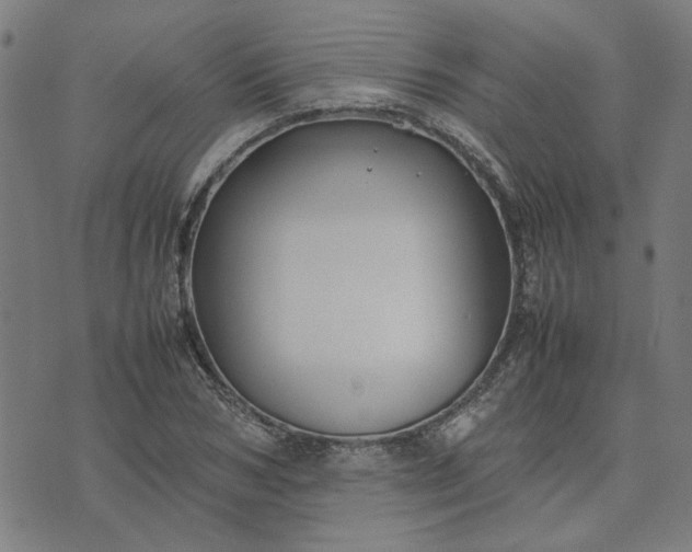 X0000074230978200609081617