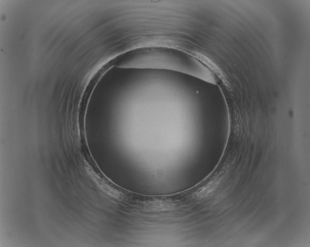 X0000074230980200609081616