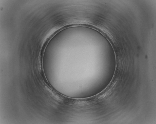 X0000074230982200609081616